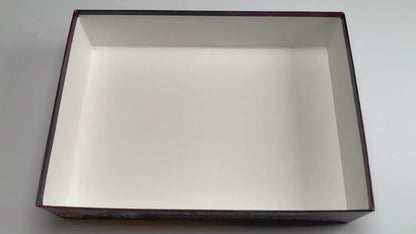 Insertion de refonte pour Under Falling Skies